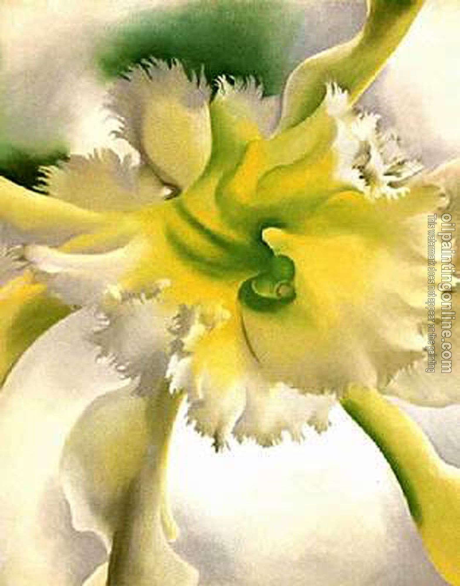 O Keeffe, Georgia - Yellow Orchid